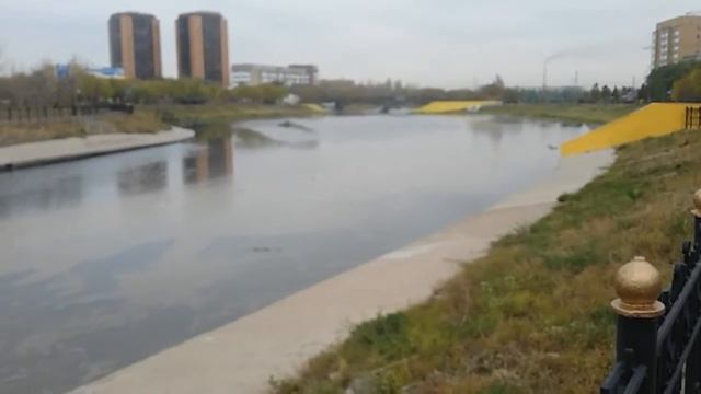 Загрязнение р.Акбулак.С р. Акбулак вода бежит в р.Есиль(Ишим). смотреть онлайн
