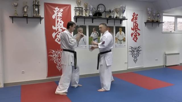 WFKO. Low kick - kumite Shihan Alexei Gorokhov. Lesson 2 смотреть онлайн
