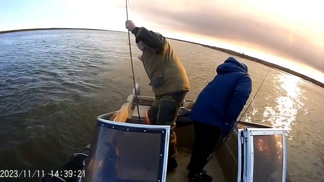 Рыбалка в Маково 11.11.2023. смотреть онлайн