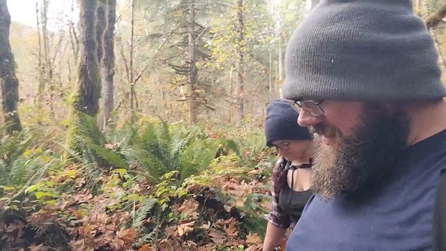 A Thankful Adventure in Washington | Forest Bathing смотреть онлайн