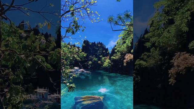 #филиппины #море #океан #beach #пальмы #рыбы #морскоймир #philippines смотреть онлайн