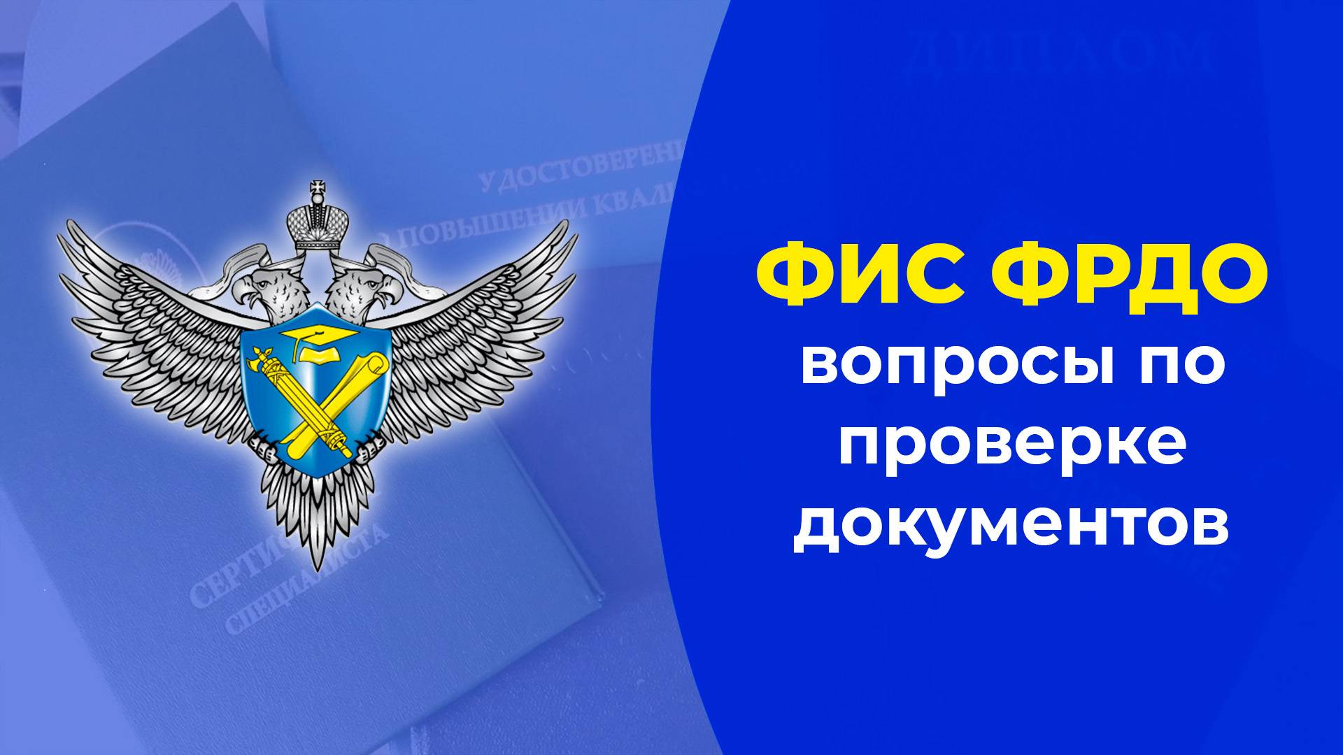 ФИС ФРДО: Что делать, если документы не найдены? смотреть онлайн