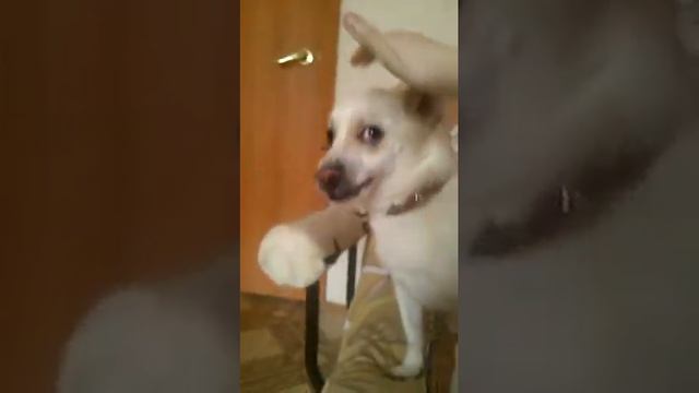 Разбудили смотреть онлайн