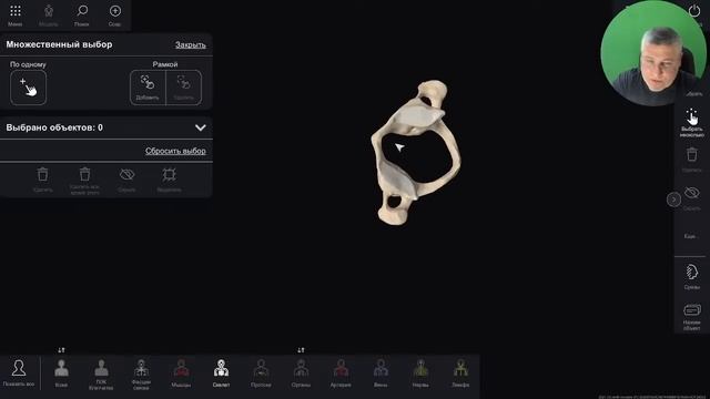 3D Анатомия для студентов. Анатомическая терминология. Оси и плоскости. Позвонок смотреть онлайн