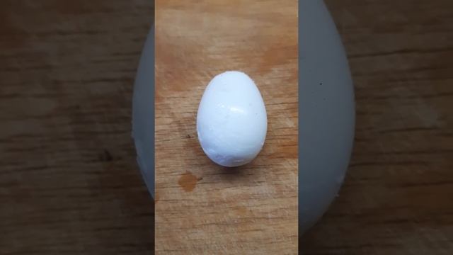 Можно ли есть яйца мускусных уток/индоуток?