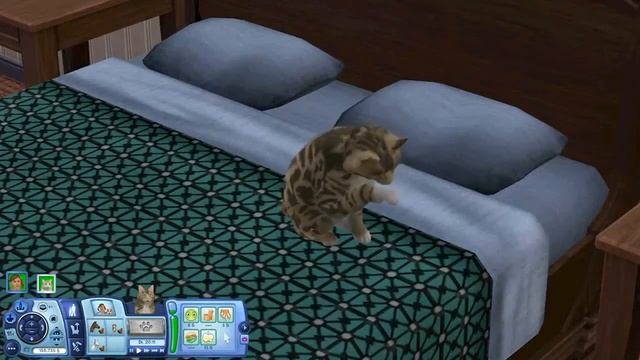 The Sims 3 Питомцы - Гемплей игры (RUS) смотреть онлайн
