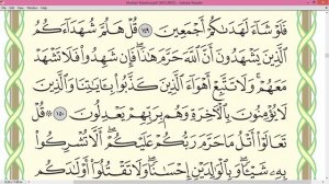 Шейх Айман Сувейд сура Аль Анам стр 148