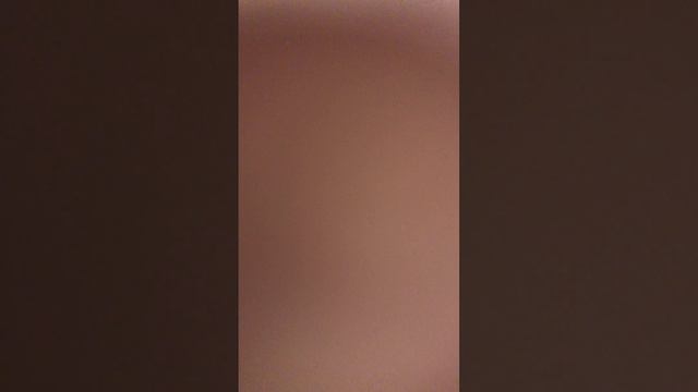 Обзор лакомств для моего хомяка 🐹🍏 смотреть онлайн