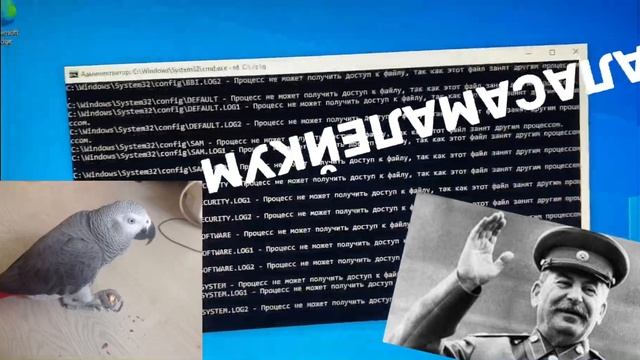 Как скачать Java Windows бесплатно смотреть онлайн