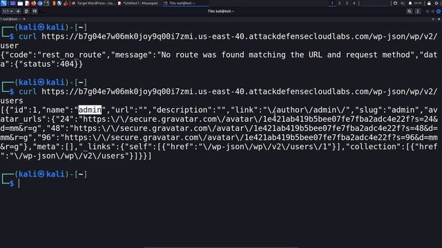 10.5. Enumerating WordPress Users, Plugins & Themes смотреть онлайн