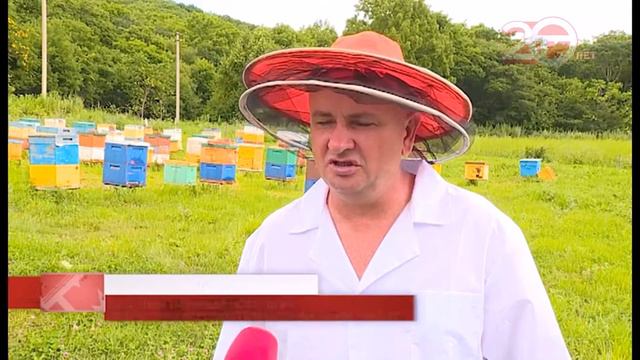 Уссурийский мёд. Липовый собрали, цветочный на подходе смотреть онлайн