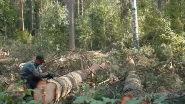 Роспил_5 смотреть онлайн