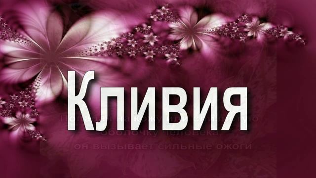 Самые опасные комнатные растения/ The most dangerous plants смотреть онлайн