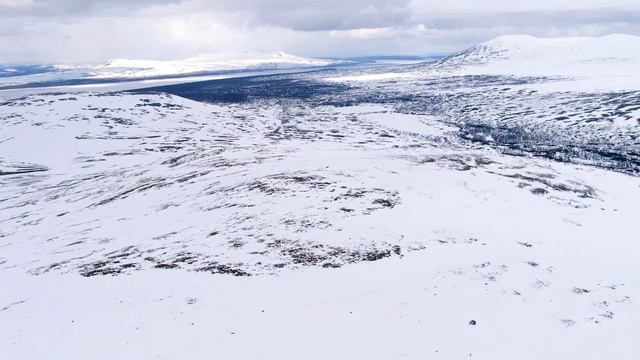 Daniel Herskedal 'The Hunting Golden Eagle' from 'Call for Winter' смотреть онлайн