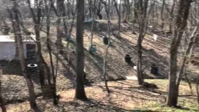 Paintball смотреть онлайн