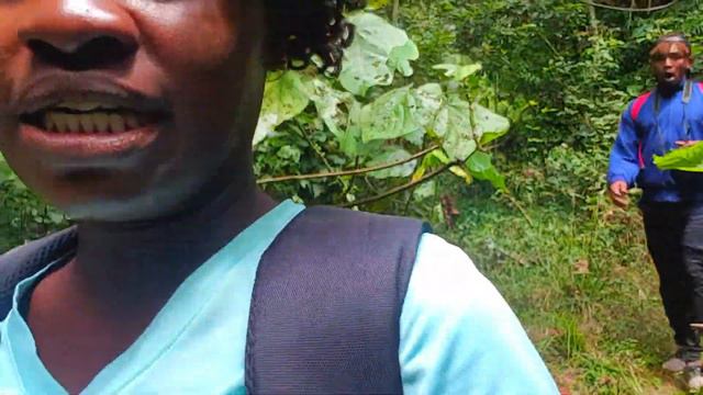 MUST SEE WATERFALL IN KENYA || KEREITA FOREST смотреть онлайн