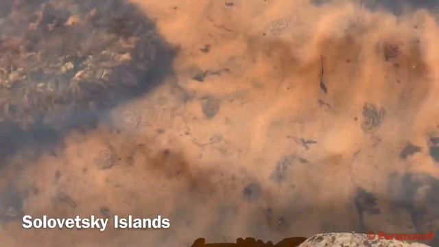 Solovetsky Islands, 2020 смотреть онлайн