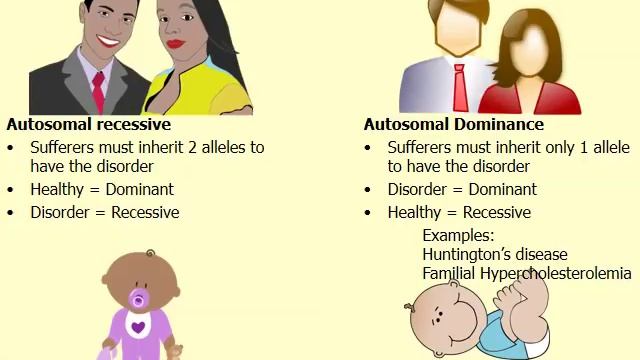 Autosomal Recessive vs. Autosomal Dominance смотреть онлайн