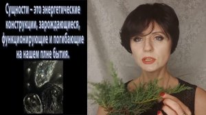 Защитные растения в магии. Можжевельник.