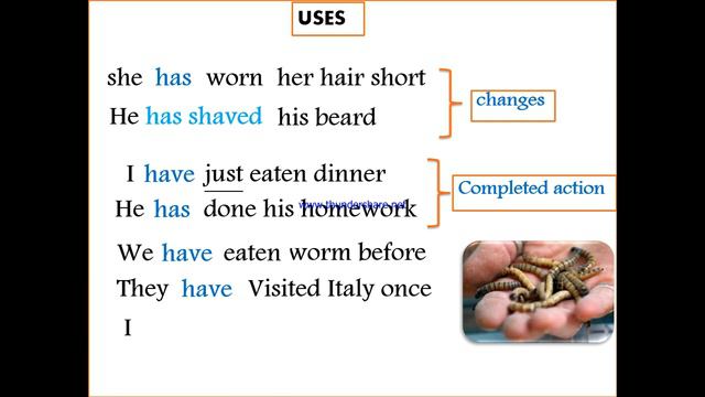 Present perfect tenseالمضارع التام متى يستخدم смотреть онлайн