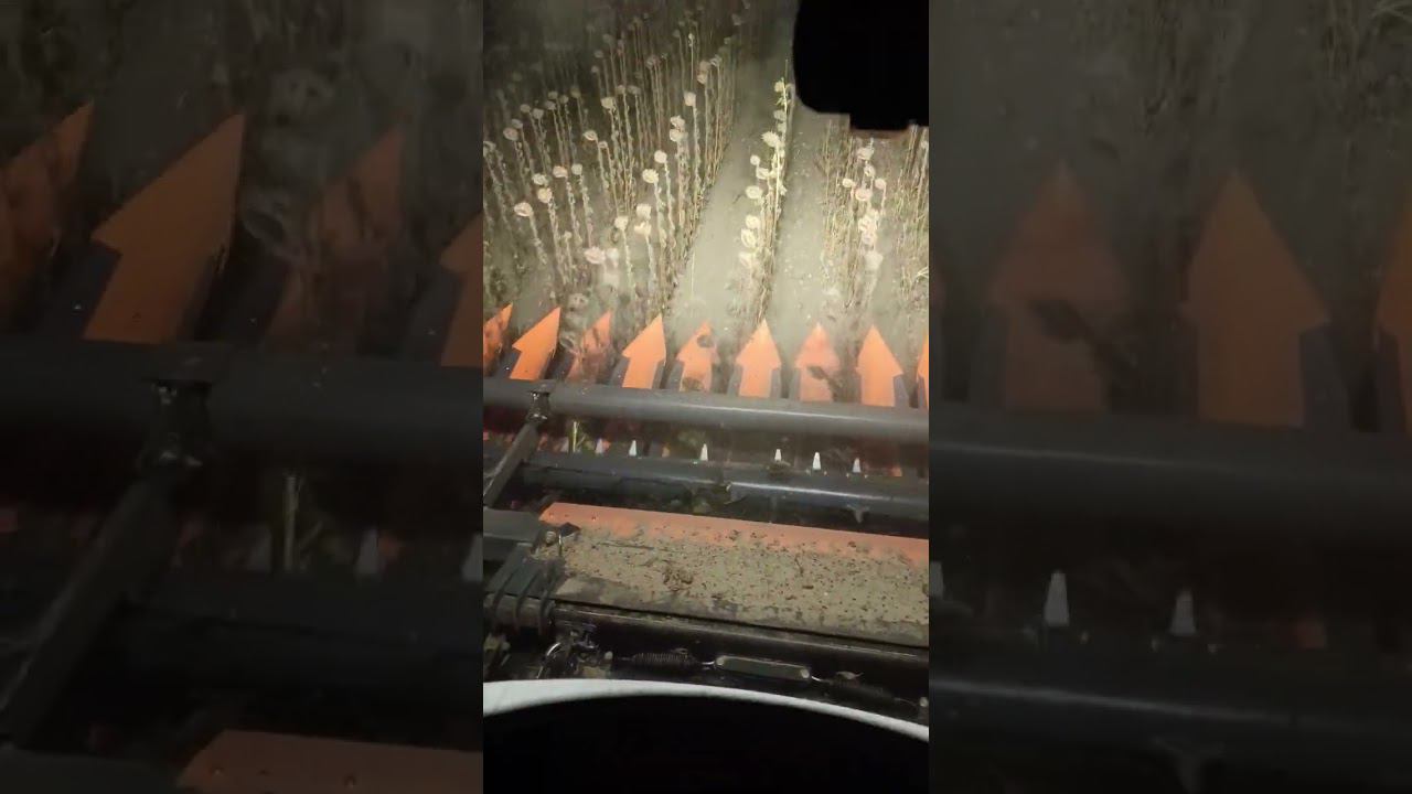 Погнали смотреть онлайн