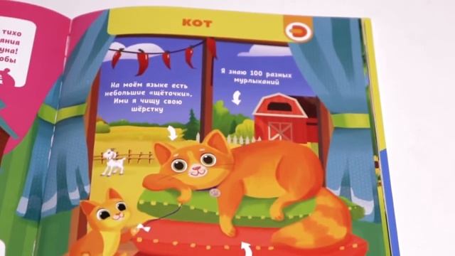 Комплект книг "Моя мини-энциклопедия" смотреть онлайн