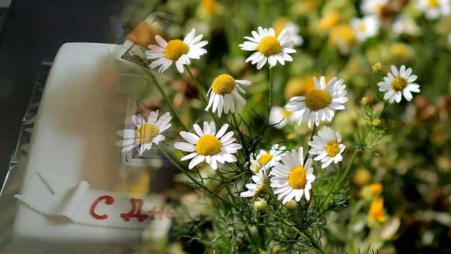 Поздравление с Днем бухгалтера смотреть онлайн