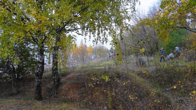 ВИДЕОЗАРИСОВКА. ТУШИНО. Золотая осень 2015. ч.1. В парке Северное Тушино . смотреть онлайн