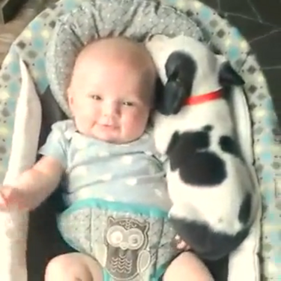 Два малыша смотреть онлайн