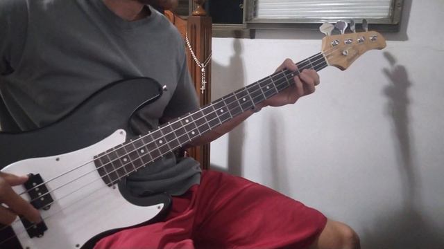 Selena Gomez - Love You Like A Love Song (Bass Cover) смотреть онлайн