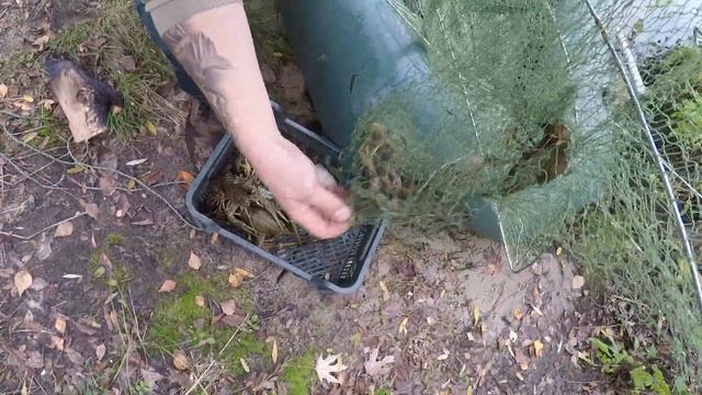 САМЫЙ КРУПНЫЙ РАК пойманный мною в Днепре на раколовку. смотреть онлайн