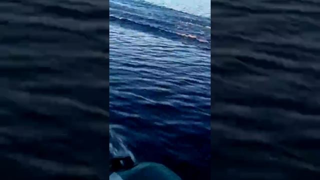 Вятка дмк340+golfstream5 и баджер на мерке 15 смотреть онлайн