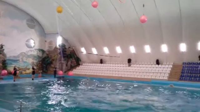 Можно смотреть вечно. смотреть онлайн