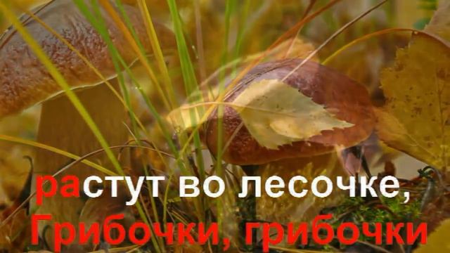 KARAOKE Грибочки КАРАОКЕ.mp4.mp4 смотреть онлайн
