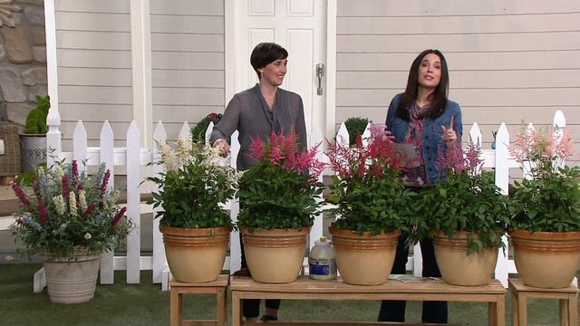Cottage Farms 5-Piece Ultimate Shade Astilbe Collection on QVC смотреть онлайн