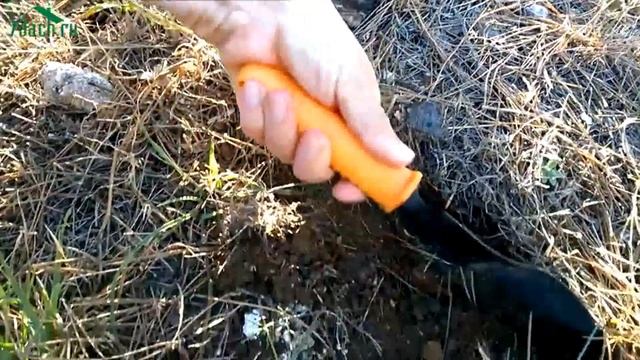 Как бороться с вьюнком - 7 дач смотреть онлайн