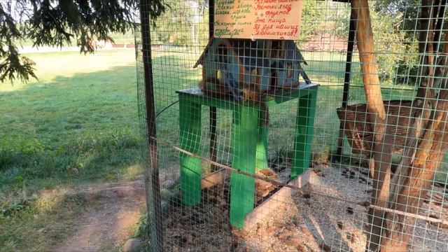 Колкуново 22 Белочки смотреть онлайн