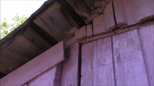 VLOG: А У НАС В ДЕРЕВНЕ... смотреть онлайн