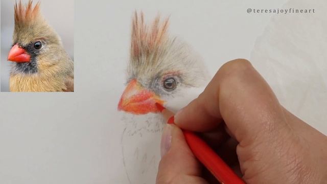 Blending Colours to Create a Bird's Beak - Beginner Colored Pencil Drawing Tutorial смотреть онлайн