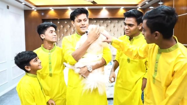 রাকিব শিরো কে বিয়ে করিয়ে দিলো | My Dog's Wedding VLOG | Rakib Hossain смотреть онлайн