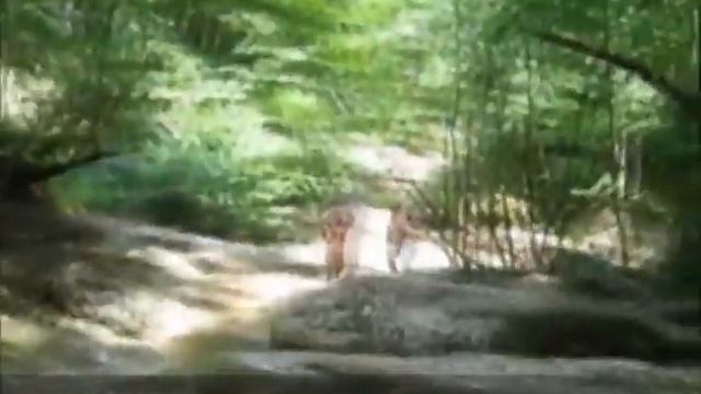 Вау) ! Видео очень трогательное и душевное *-* смотреть онлайн