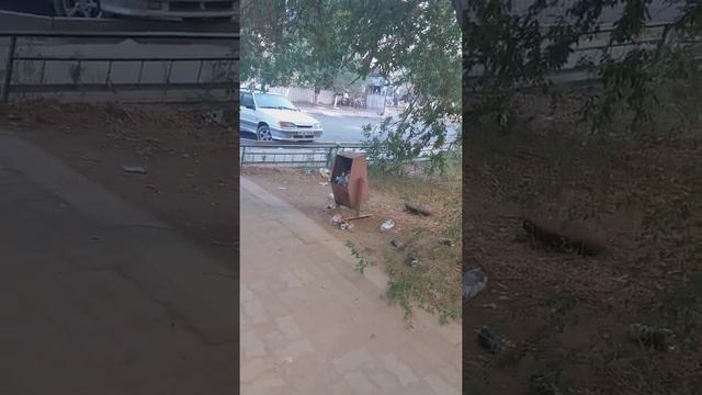 Жезказган постоянный гадюшник мусора изза магазина ,,базет" смотреть онлайн