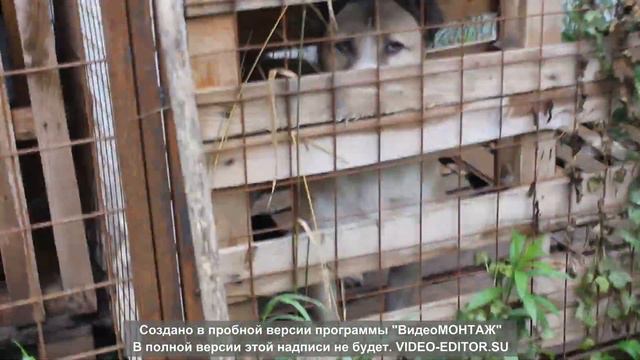 Обычный день утопленника смотреть онлайн