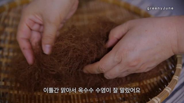 SUB) 맛있는 음식으로 여름 보내기 | 불 사용하지 않고 해결한 식사 смотреть онлайн