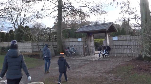 ГЕРМАНИЯ, ГДЕ МЫ ГУЛЯЕМ В БОННЕ ВО ВРЕМЯ КАРАНТИНА смотреть онлайн