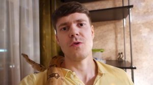 КТО ЛУЧШЕ? УДАВ, ПИТОН ИЛИ ПОЛОЗ?