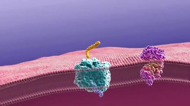 Inside the Brain: Unraveling the Mystery of Alzheimer's Disease [HQ] смотреть онлайн