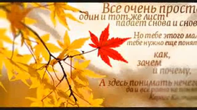 Самого главного глазами не увидишь, надо искать сердцем! смотреть онлайн