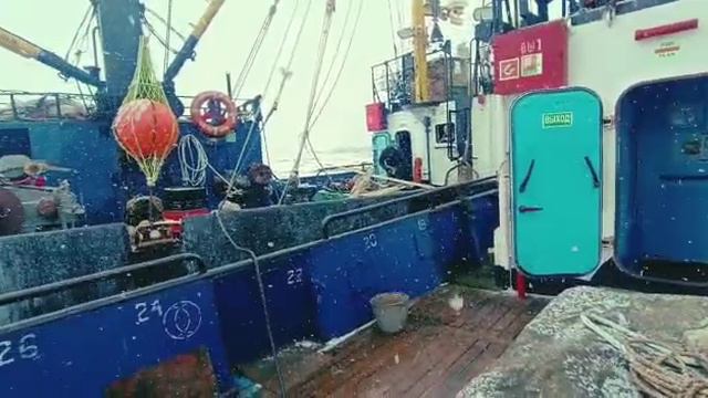 Рыбалка на Камчатке смотреть онлайн