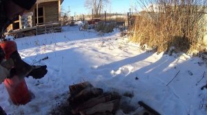 ✔️Как опалить говяжьи ноги? 2 способа! Первый опыт.